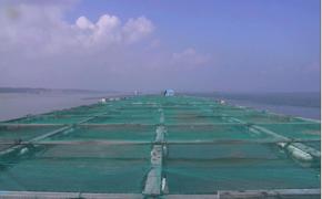 养殖基地