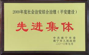社会治安综合治理先进集体