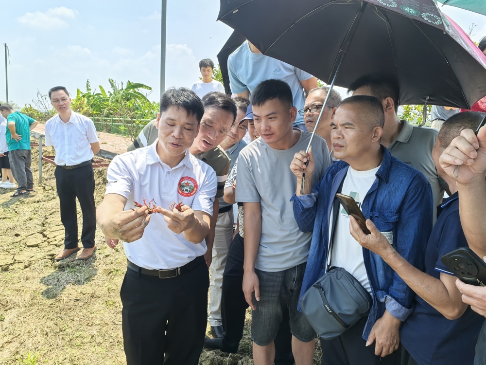 授课现场