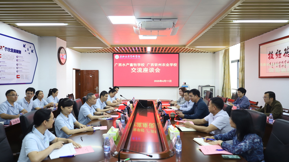 座谈会现场
