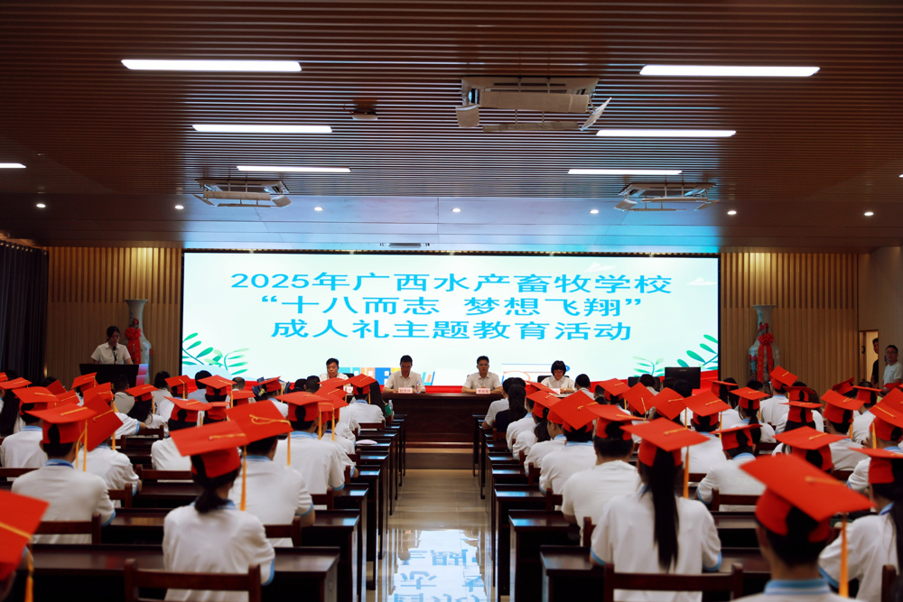 活动现场
