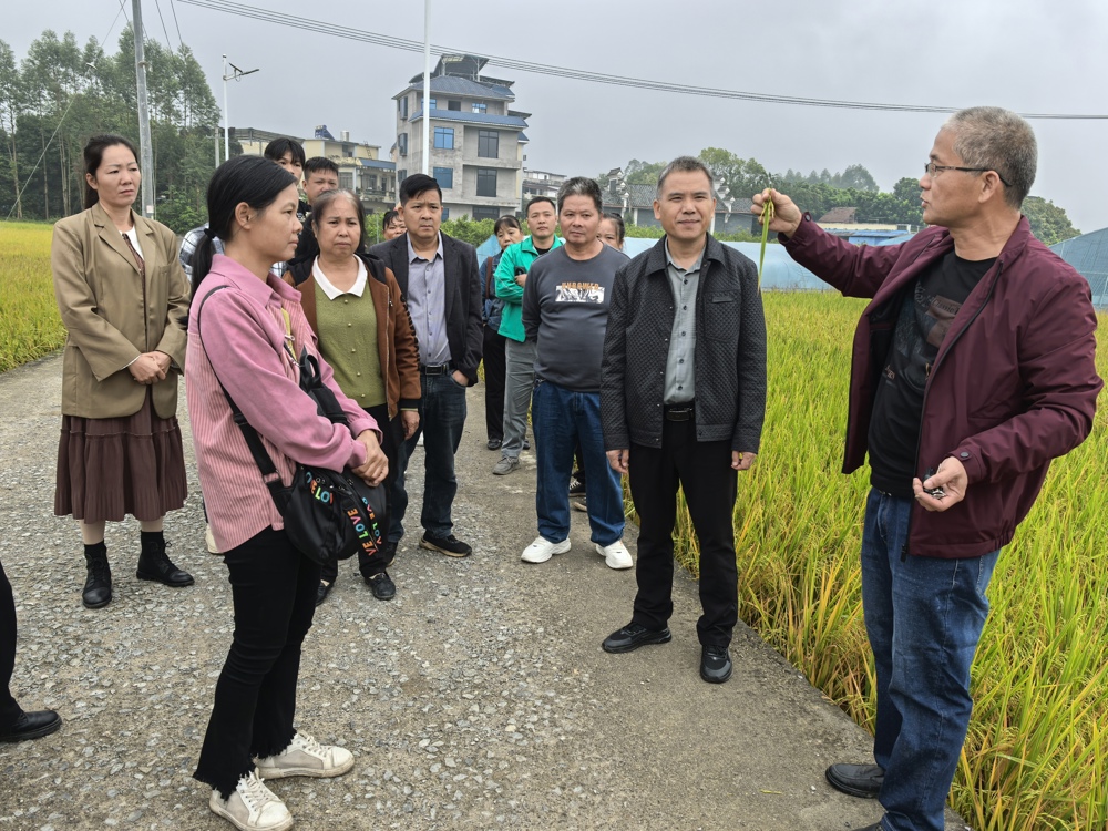 服务团队深入种植基地、生产车间等场所开展实地指导