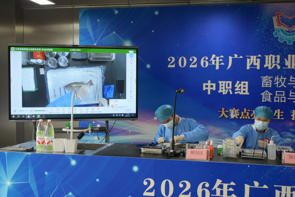我校两支参赛队伍分别在A组、B组总评分排名中位列第一名