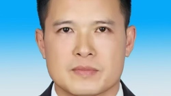 高级讲师 莫有东